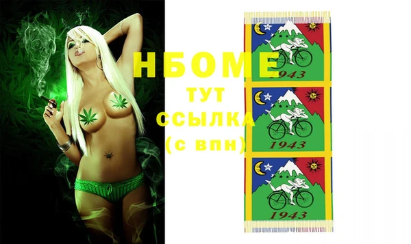 винт Алзамай